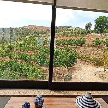 Vila Quinta Dos Limoes *