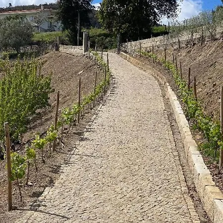 Quinta Dos Limoes Vila Alcarias (Baiao)